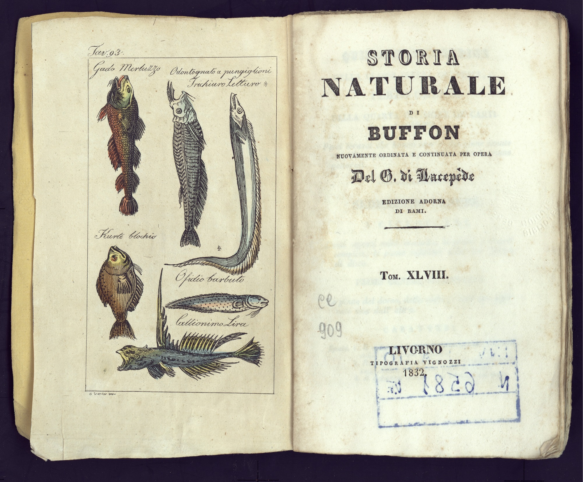 Storia naturale di Buffon nuovamente ordinata e continuata per opera del C. di Lacépède. Edizione adorna di rami Livorno : Tipografia Vignozzi, 1829-1833 BUC, CC 862-915